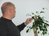 baumrettung_08