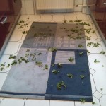 Salat auf Teppich angerichtet